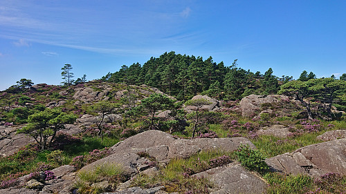Approaching the summit of Børøyklampen