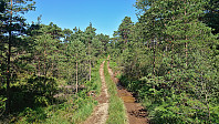 Tractor road to Lyklingfjellet