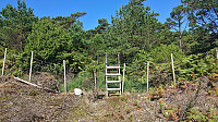 Ladder to the trailhead