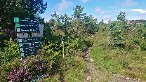 The marked trailhead from the south
