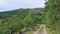 Approaching the trailhead