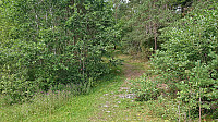 The start of the marked trail