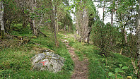 The trail to Borgundnuten