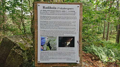 Radiohola i Vakabergsuro
