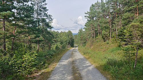 The gravel road to Furvik/Furevik tømmerkai