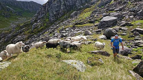 Endre and our fellow hikers ;)