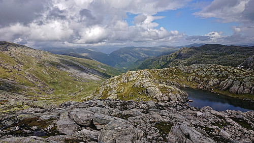 Flatekvål from the ascent to Sørdalsfjellet