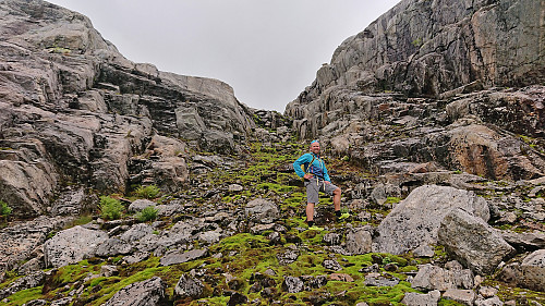 The top of the shortcut to Brattefonntjørni