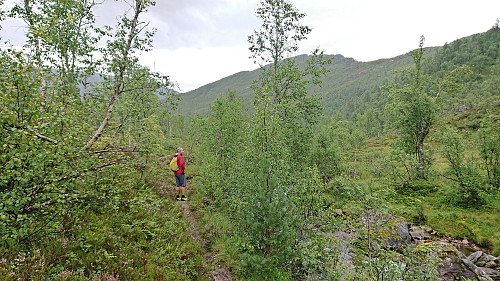 The trail quality finally improved below Norddalsstølen
