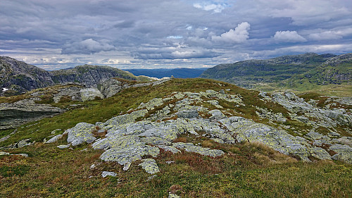 Looking back at the summit area of Ådni 1103