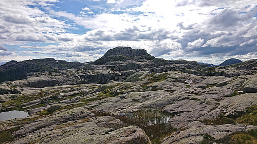 Approaching the summit of Ådni 1098