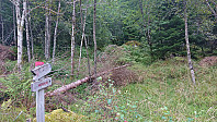 The start of the marked trail
