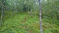 The weak trail from Steinsland
