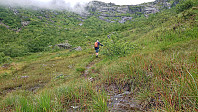 Stream or trail..?