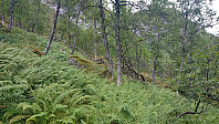 Trail marker but no trail?