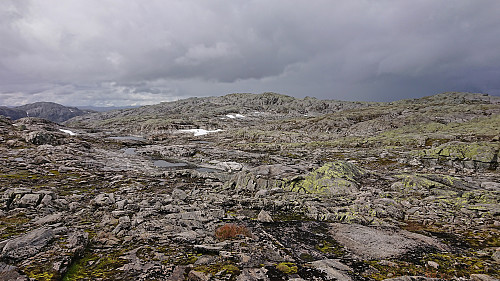 Sundagsnova from the east