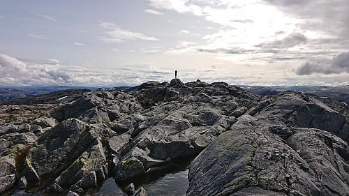 Petter at the summit of Fridalsnova