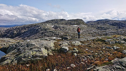 Petter studying the ascent route to Vest for Vestrebotn