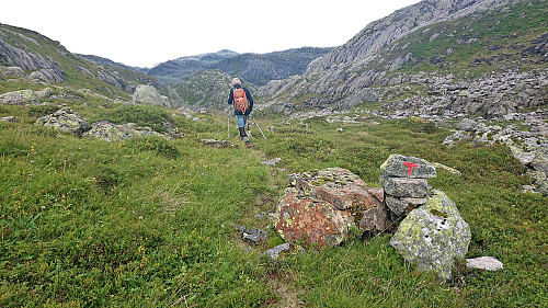 Back on the marked trail southeast of Vest for Vestrebotn