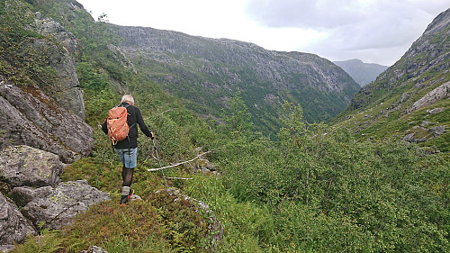 Trying to relocate the trail at the top of Norddalen