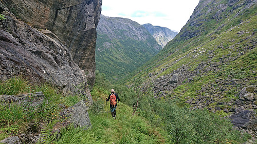 Back on the marked trail/route in Norddalen