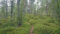 The trail south of Raundalselvi