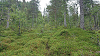 Descending to Tungefjellet