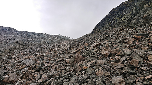 The scree that had to be traversed to ascend towards Fribottseggi