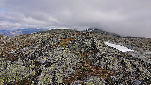 The summit of Fribottseggi with Seldalsnuten in the backround