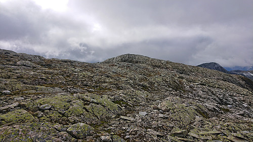 Approaching the summit of Skipadalsnuten