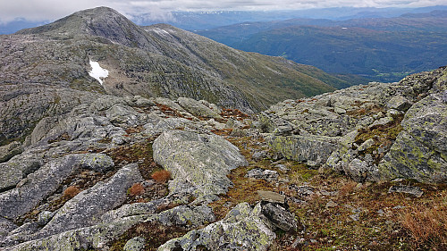 Small cairns marking the way down from Skipadalsnuten