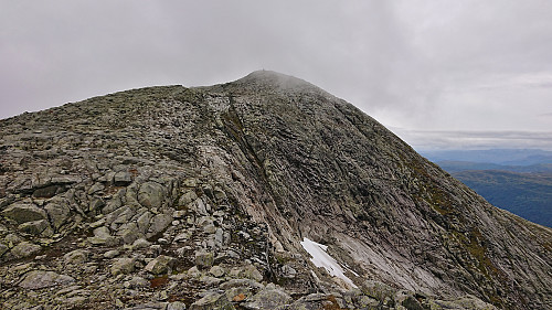 Approaching the summit of Horndalsnuten