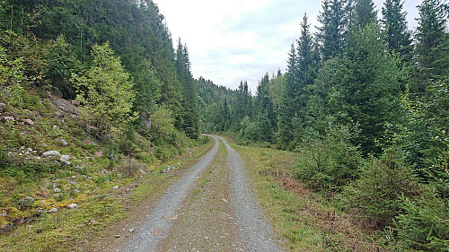 The gravel road at the bottom of Horndalen