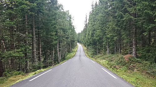 Following the paved road to the train station at Øyeflaten
