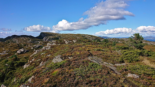 The summit of Kleppaksla with Førdesveten in the background