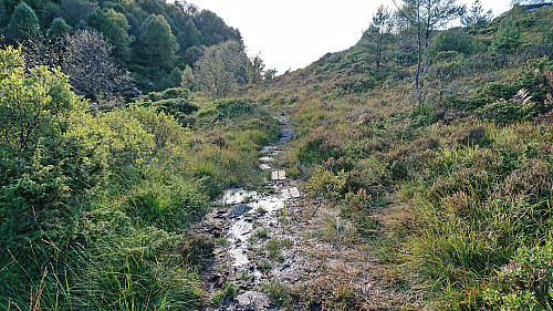 The wet and muddy trail down to Stranda