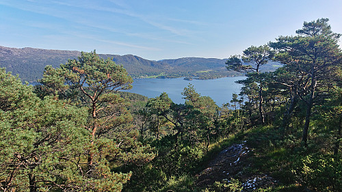 Trovåg from Vardafjellet