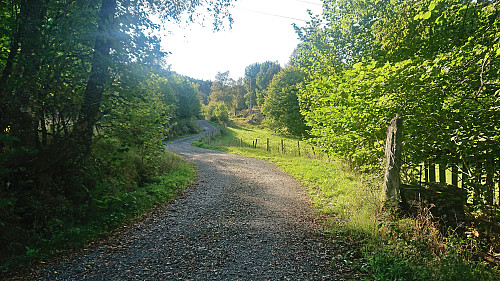Start of the gravel road towards Selsåsåsen