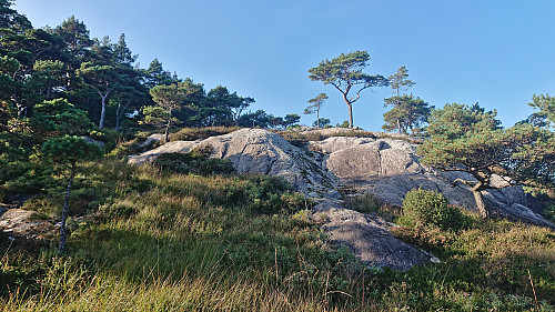 Approaching the summit of Selsåsåsen