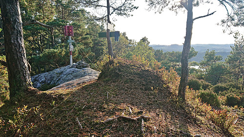 The highest point at Børshovda