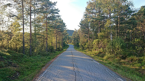 Following the road to Førde