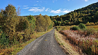 Fennastølsvegen