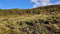 Off-trail from Fennastølane