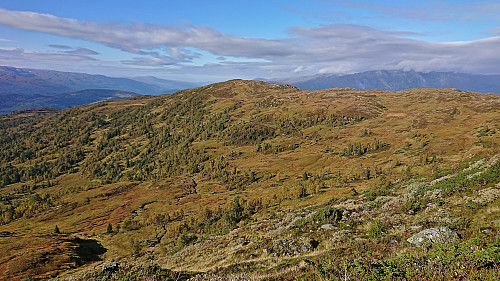 Såta from the ascent to Byrseteggi