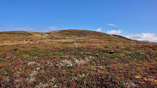 Approaching the summit of Byrseteggi