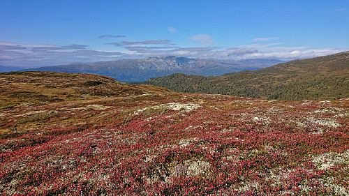 Lønahorgi from the descent into Budalen