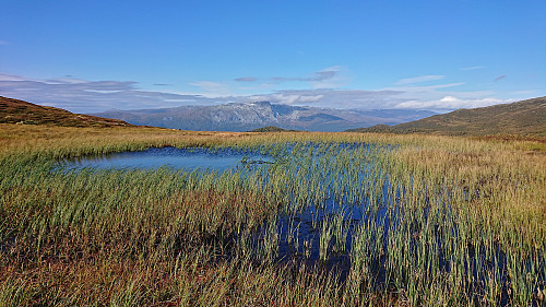 Lønahorgi from southwest of Høljaromhaug