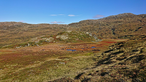 Høljaromhaug
