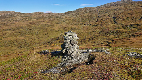 Høljaromhaug - a small hill with a large cairn :)