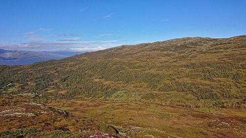 Nyestølen Øst from Høljaromhaug with Gretteggi in the background